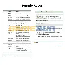 Caleb Schmidt (Report) Large.webp